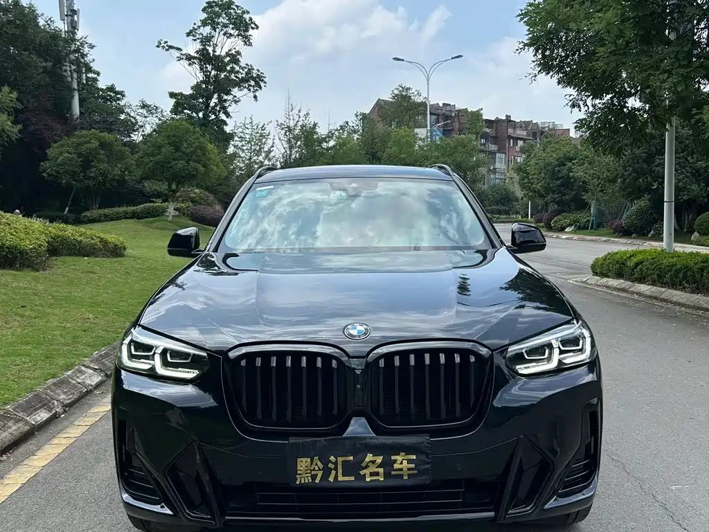 BMW X3 — миниатюра 2