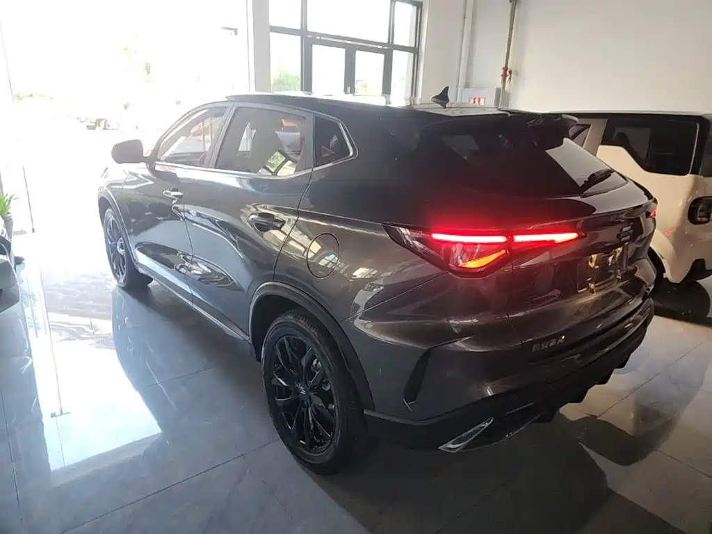 Oshan Oushang X5 PLUS — миниатюра 5