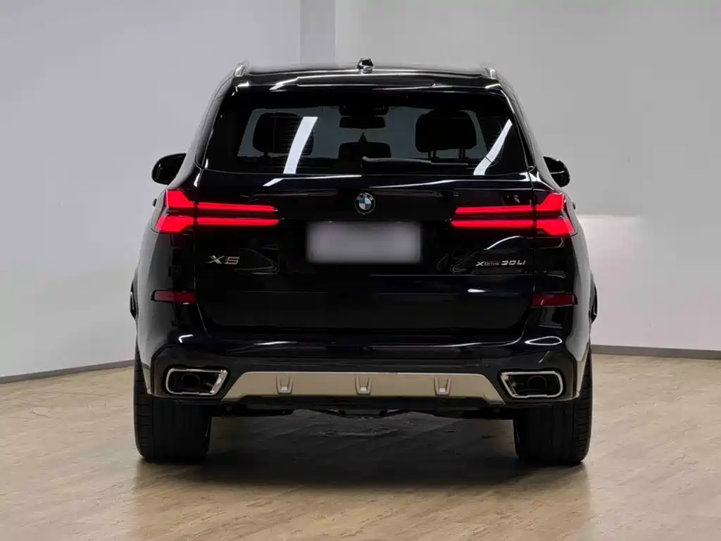 BMW X5 — миниатюра 11