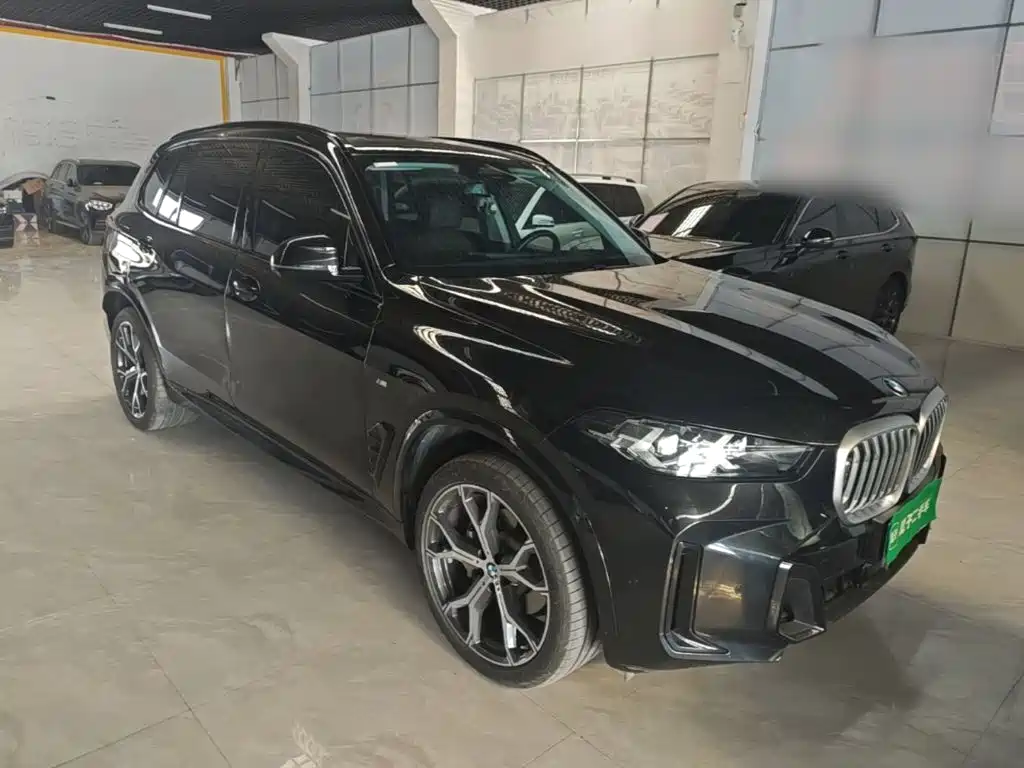 BMW X5 — миниатюра 4