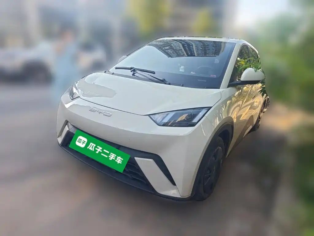 BYD Seagull