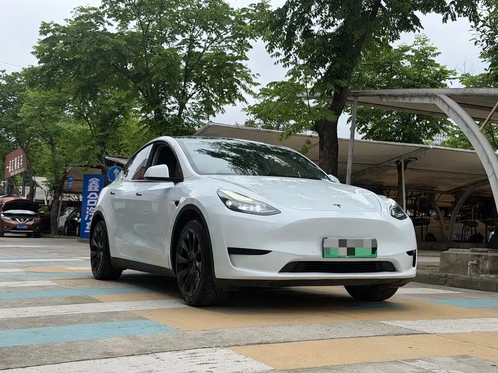 Tesla Model Y — миниатюра 3