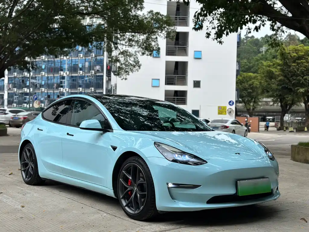 Tesla Model 3 2021 Performance 3D6