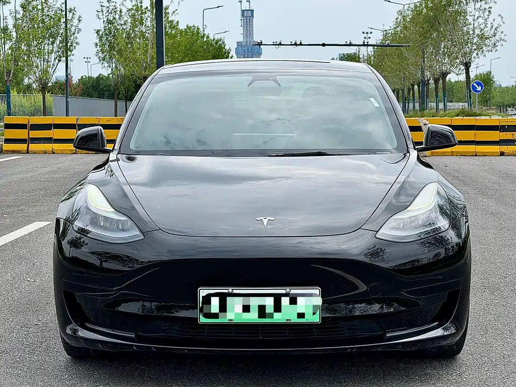 Tesla Model 3 — миниатюра 2