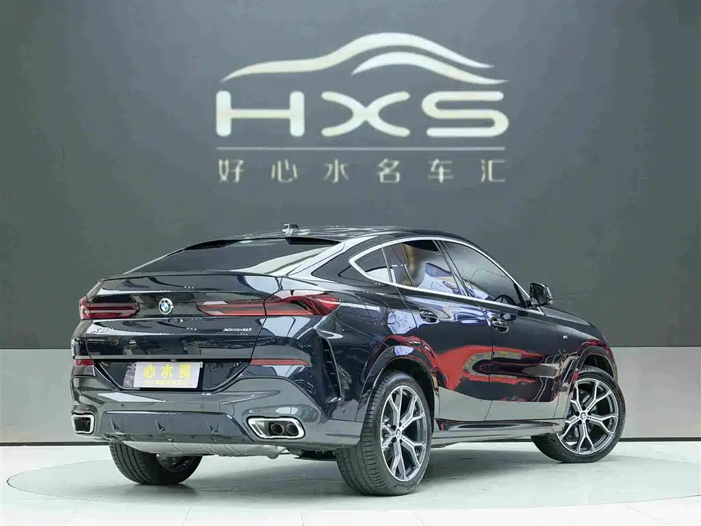 BMW X6 — миниатюра 4