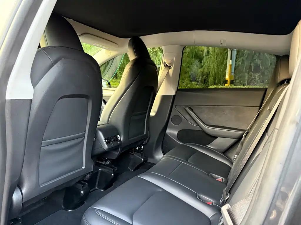 Tesla Model Y — миниатюра 13