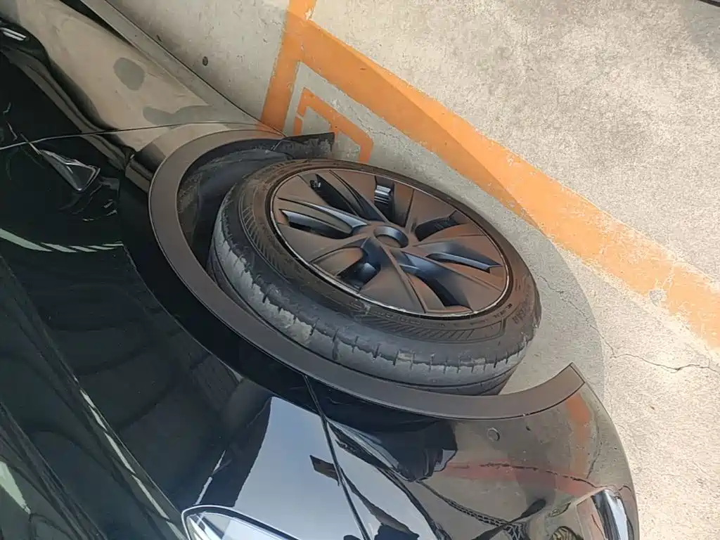Tesla Model Y — миниатюра 23