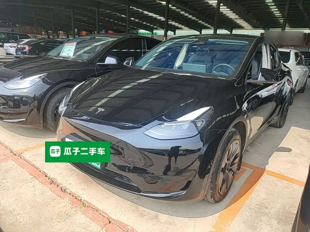 Tesla Model Y — миниатюра 2