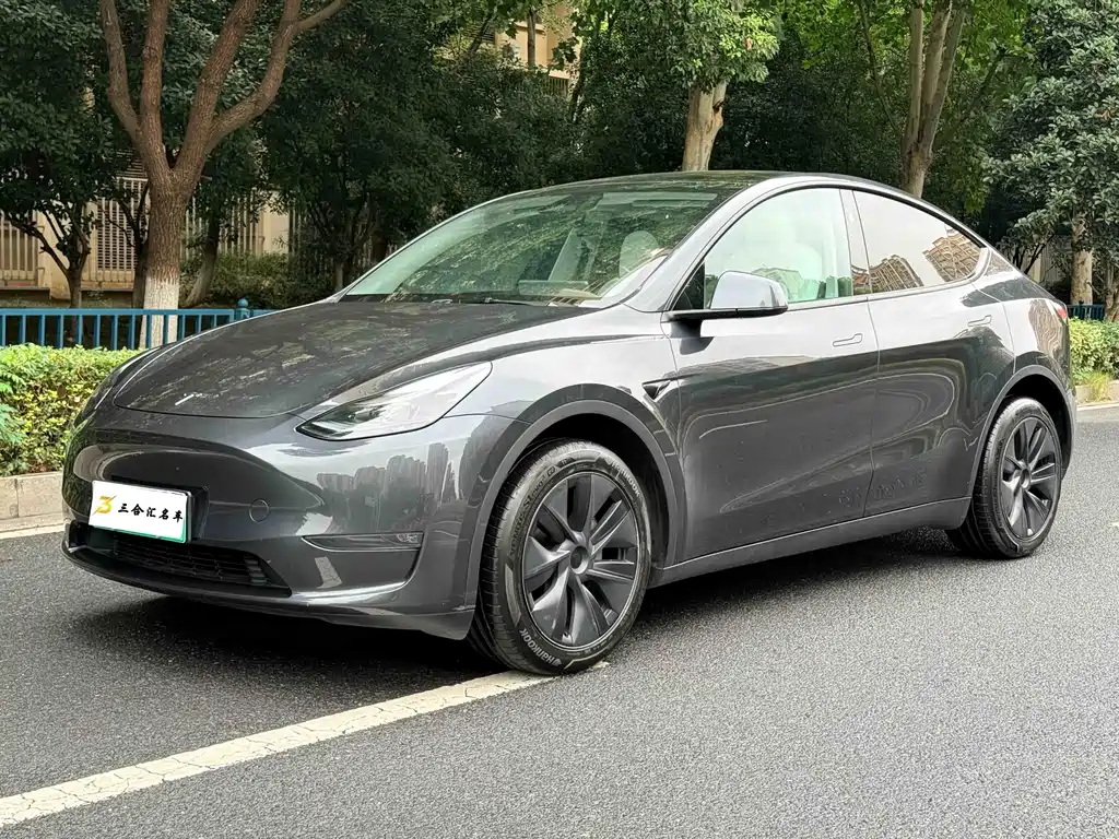 Tesla Model Y — фотографии объявления, Фото 2