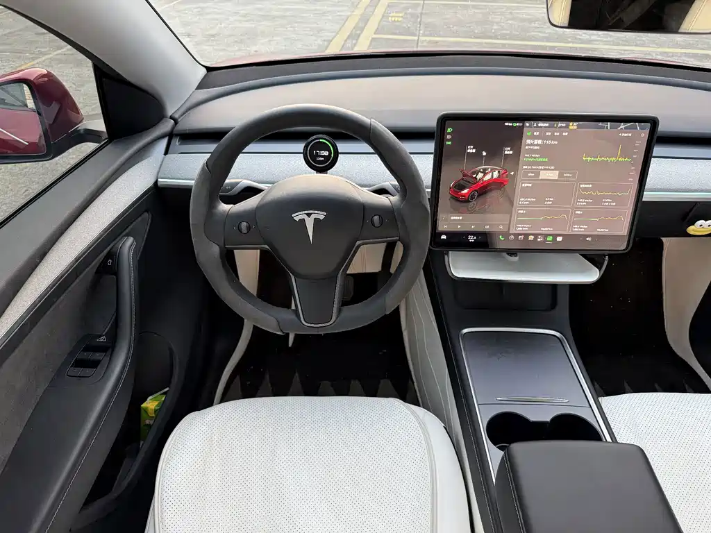Tesla Model Y — миниатюра 12