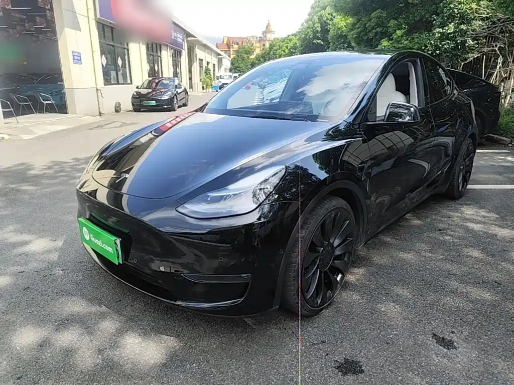 Tesla Model Y — миниатюра 2
