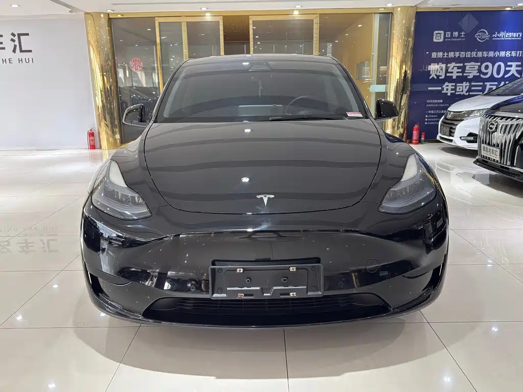 Tesla Model Y — миниатюра 2