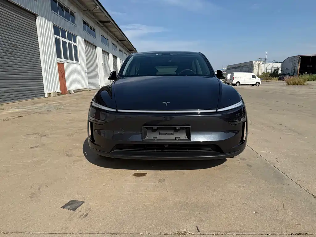 Tesla Model Y — миниатюра 2