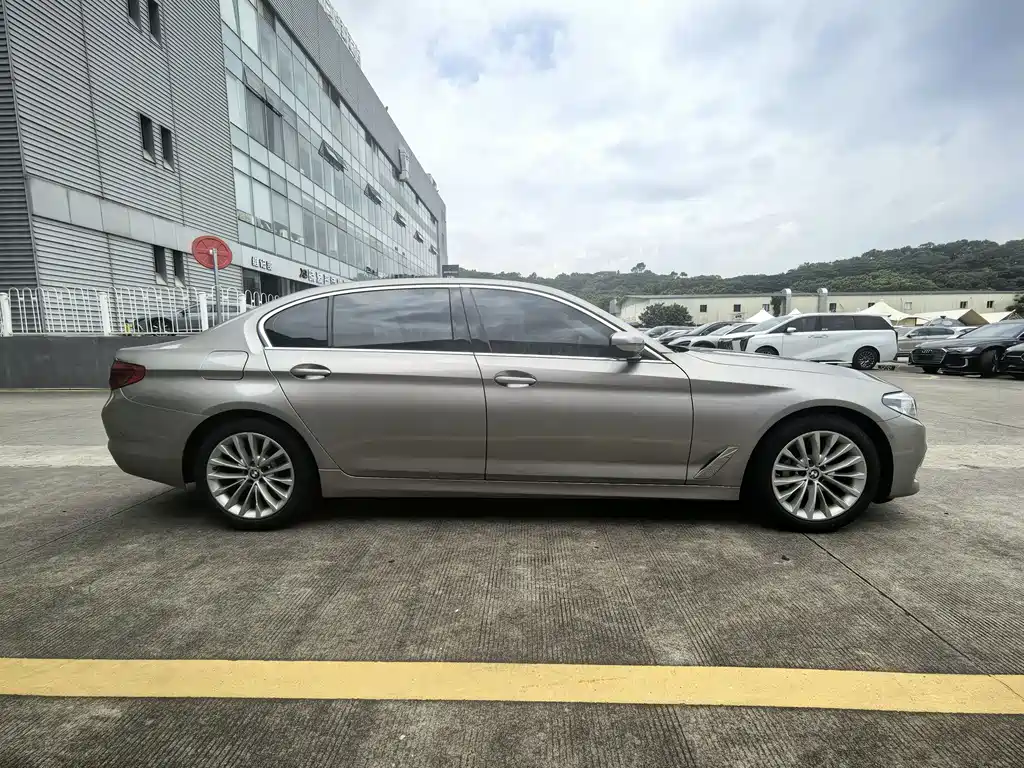 BMW 5 Series 5 2020 530Li Premium Luxury