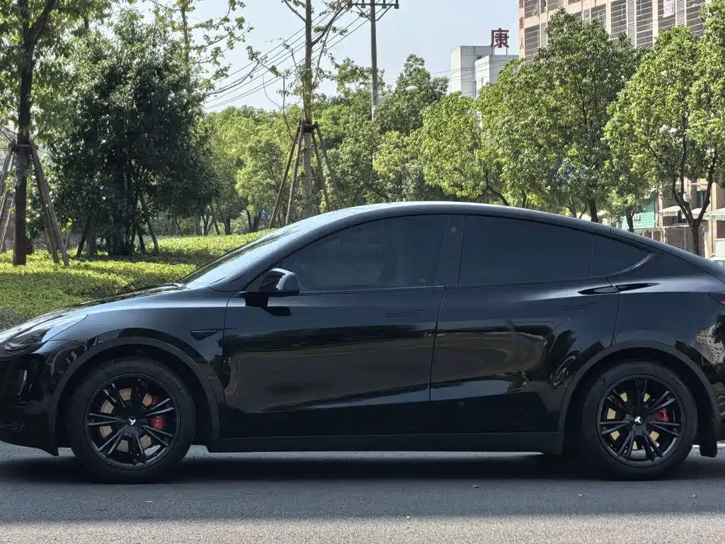 Tesla Model Y — миниатюра 4