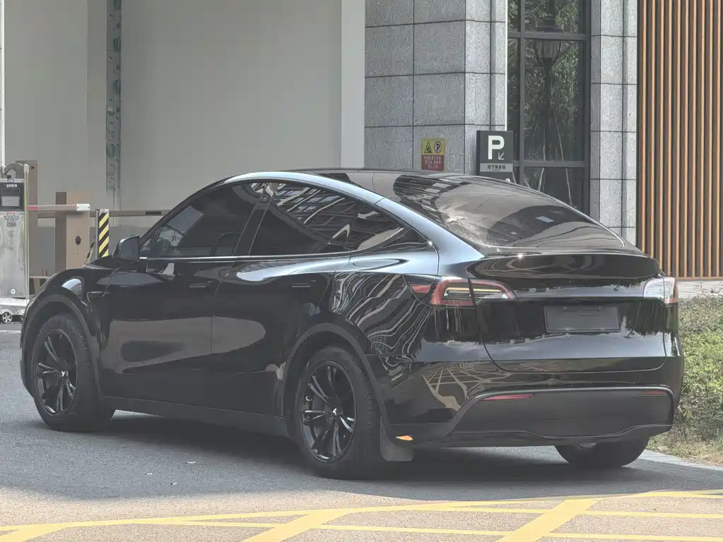 Tesla Model Y — миниатюра 5
