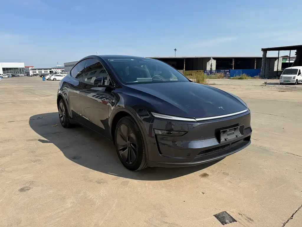Tesla Model Y — миниатюра 3