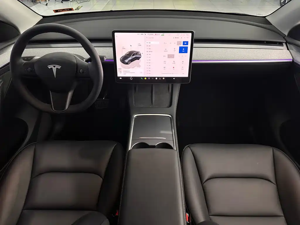 Tesla Model Y — миниатюра 5