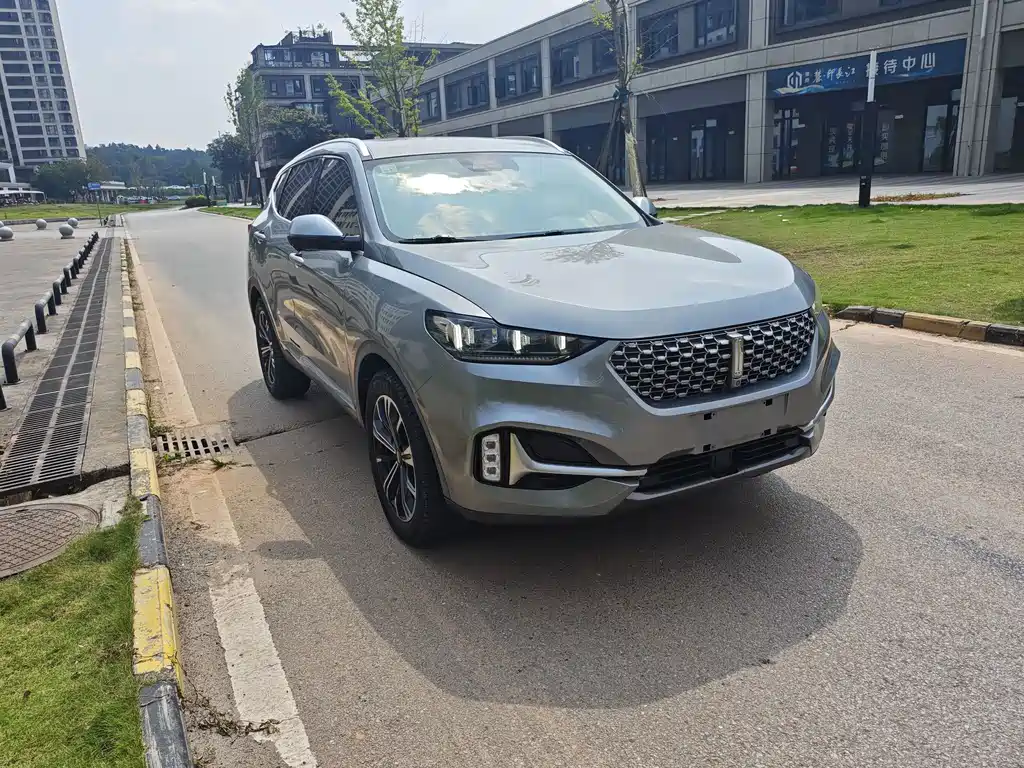 Wey Wey VV6 — миниатюра 3