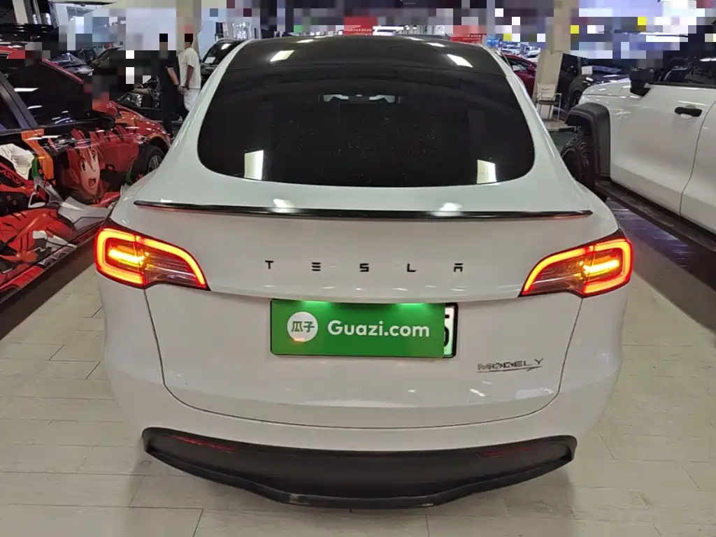Tesla Model Y — миниатюра 6