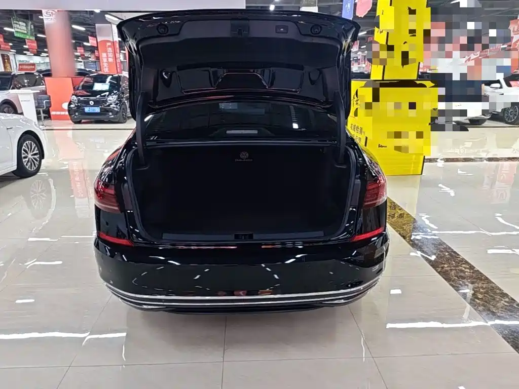 Volkswagen Passat — миниатюра 19