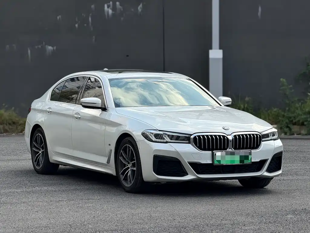 BMW 5 Series New Energy — миниатюра 3