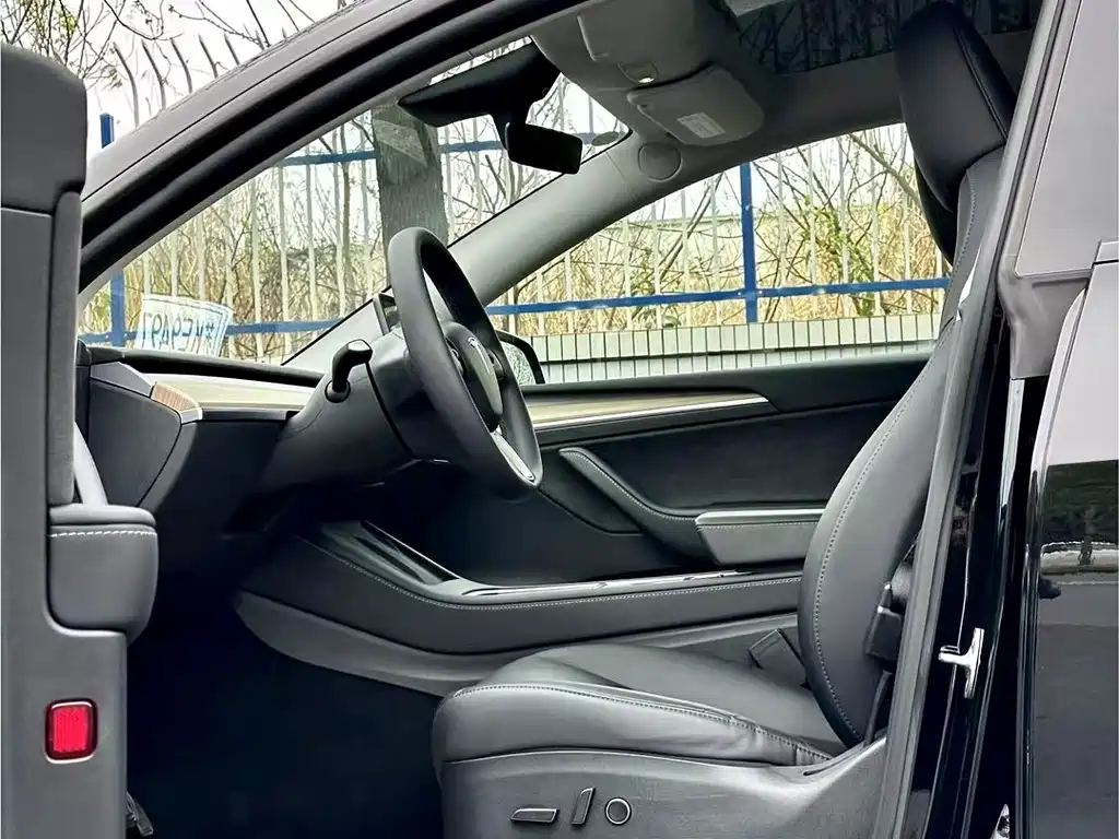 Tesla Model Y — миниатюра 6
