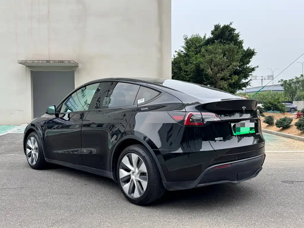 Tesla Model Y — миниатюра 12