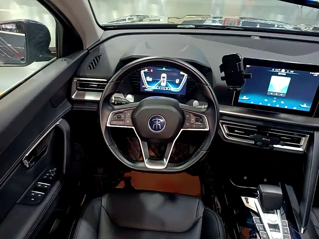 BYD Pro — миниатюра 11