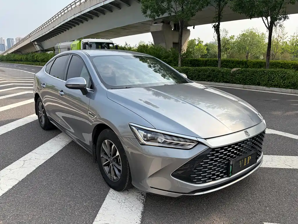 BYD Qin Plus PLUS 2023 Champion DM-i 55KM Lead