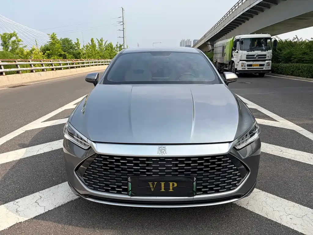 BYD Qin Plus PLUS 2023 Champion DM-i 55KM Lead