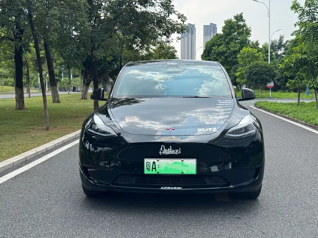 Tesla Model Y — миниатюра 2