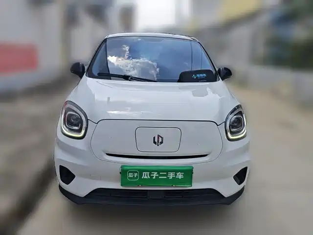 2021 Leapmotor T03