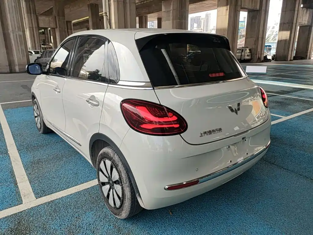 Wuling Binguo 2024 333km Enjoy