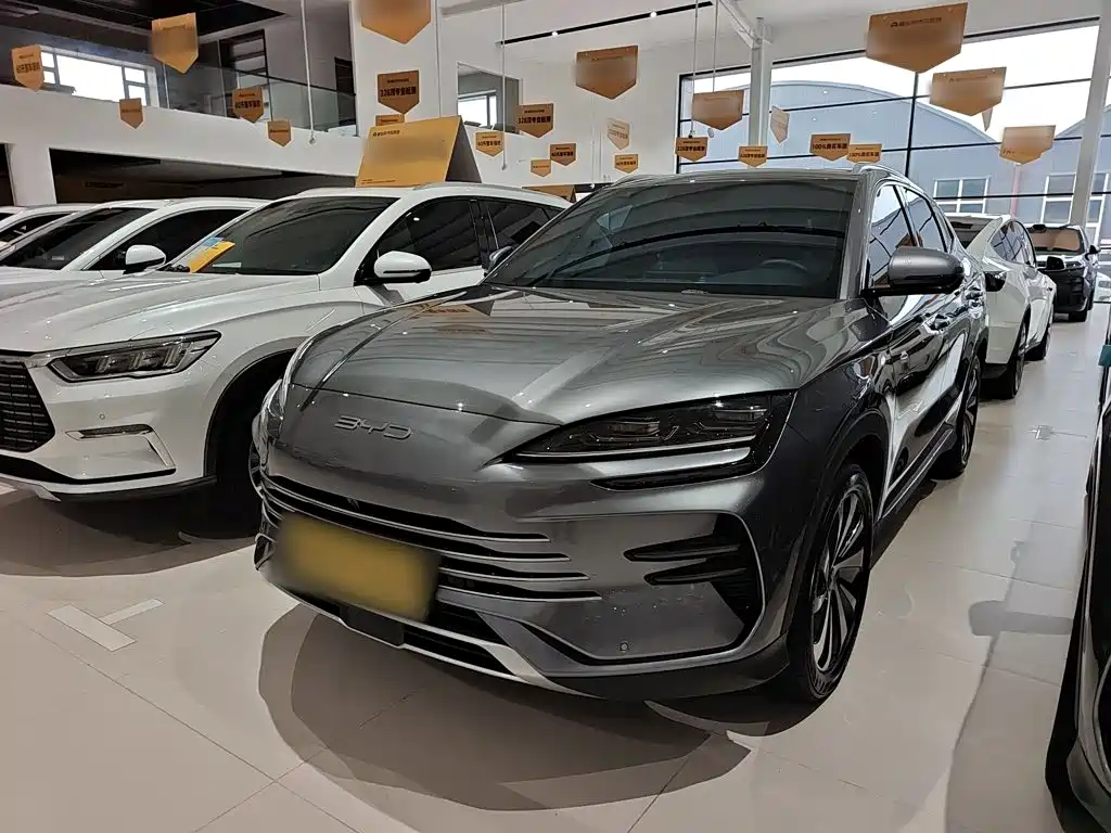 BYD PLUS New Energy — миниатюра 2