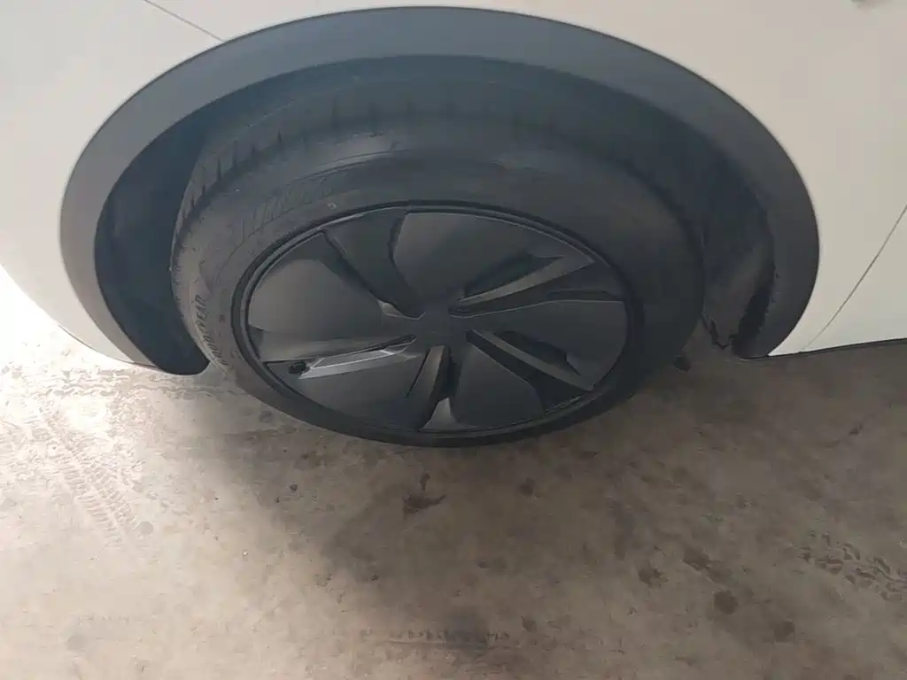 Tesla Model Y — миниатюра 23