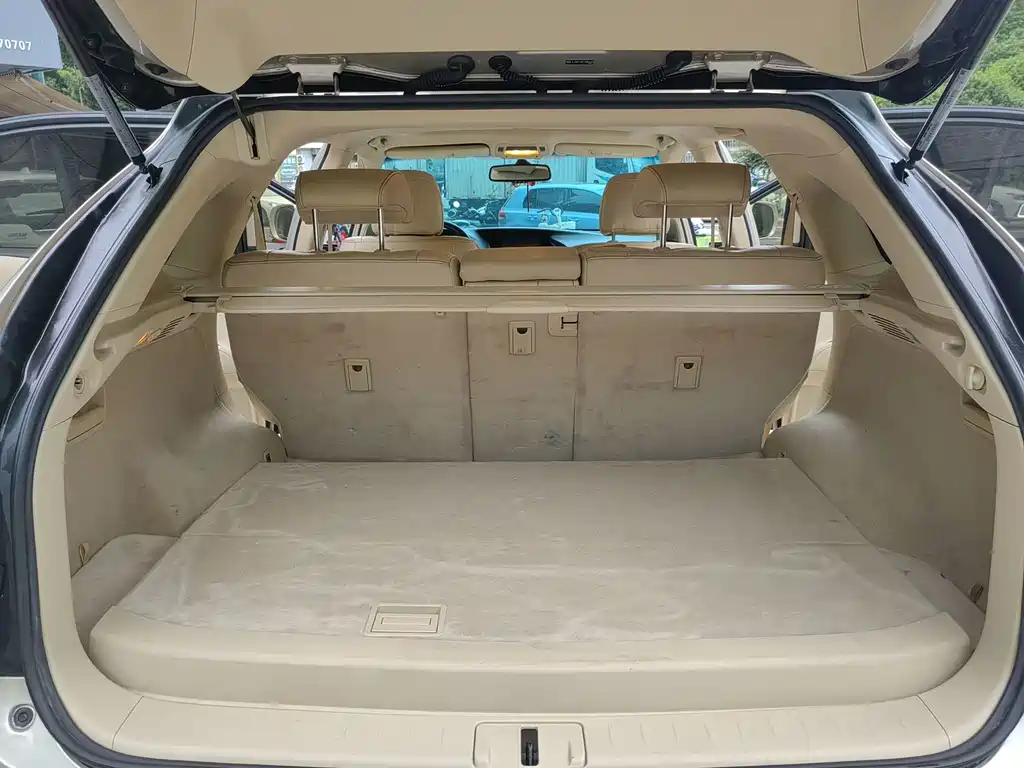 Lexus RX Classic — миниатюра 20