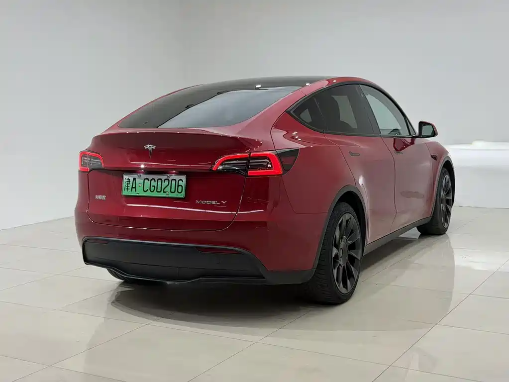 Tesla Model Y — миниатюра 5
