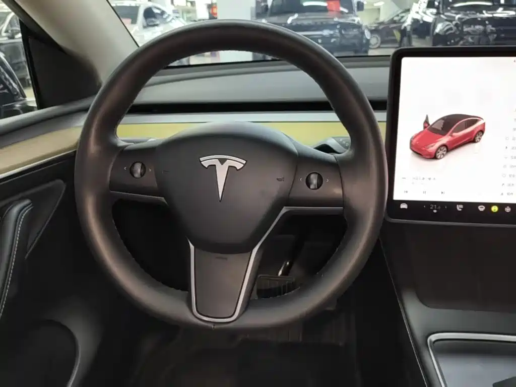 Tesla Model Y — миниатюра 11