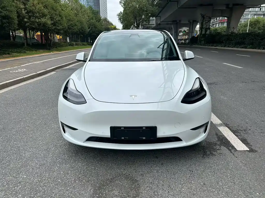 Tesla Model Y — миниатюра 2