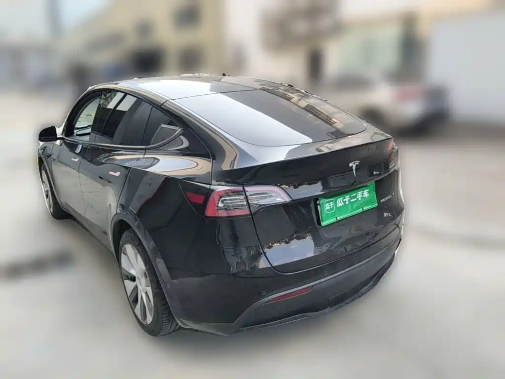 Tesla Model Y — миниатюра 7