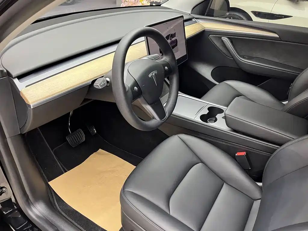 Tesla Model Y — миниатюра 4