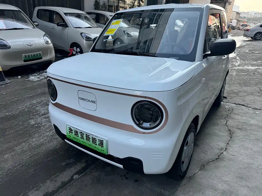 GEELY GALAXY PANDA