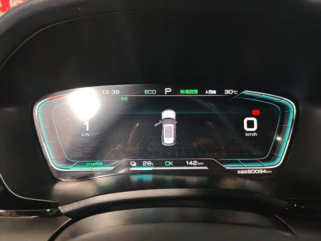 BYD PLUS New Energy — миниатюра 12