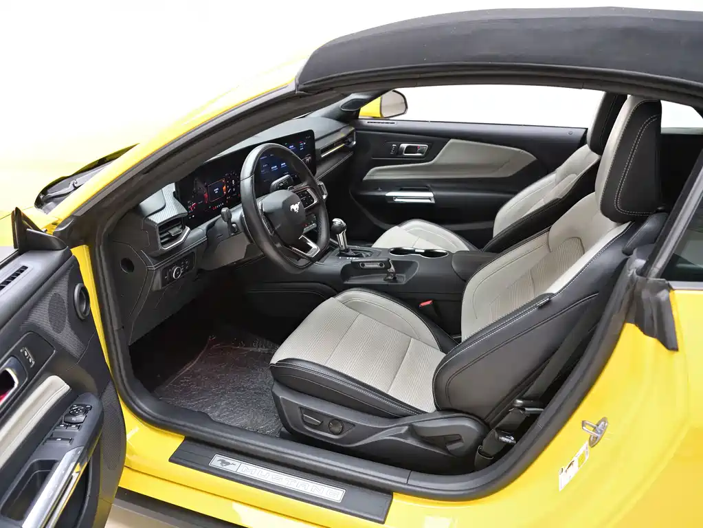 Ford Mustang — миниатюра 15