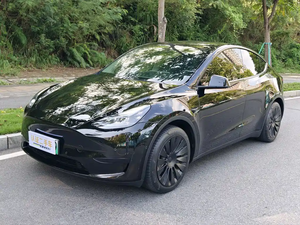 Tesla Model Y — миниатюра 3