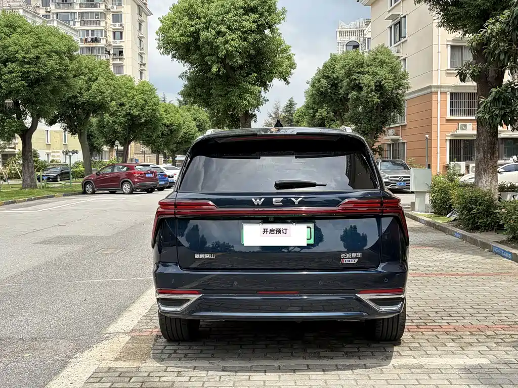 Wey Wey Lanshan — миниатюра 11