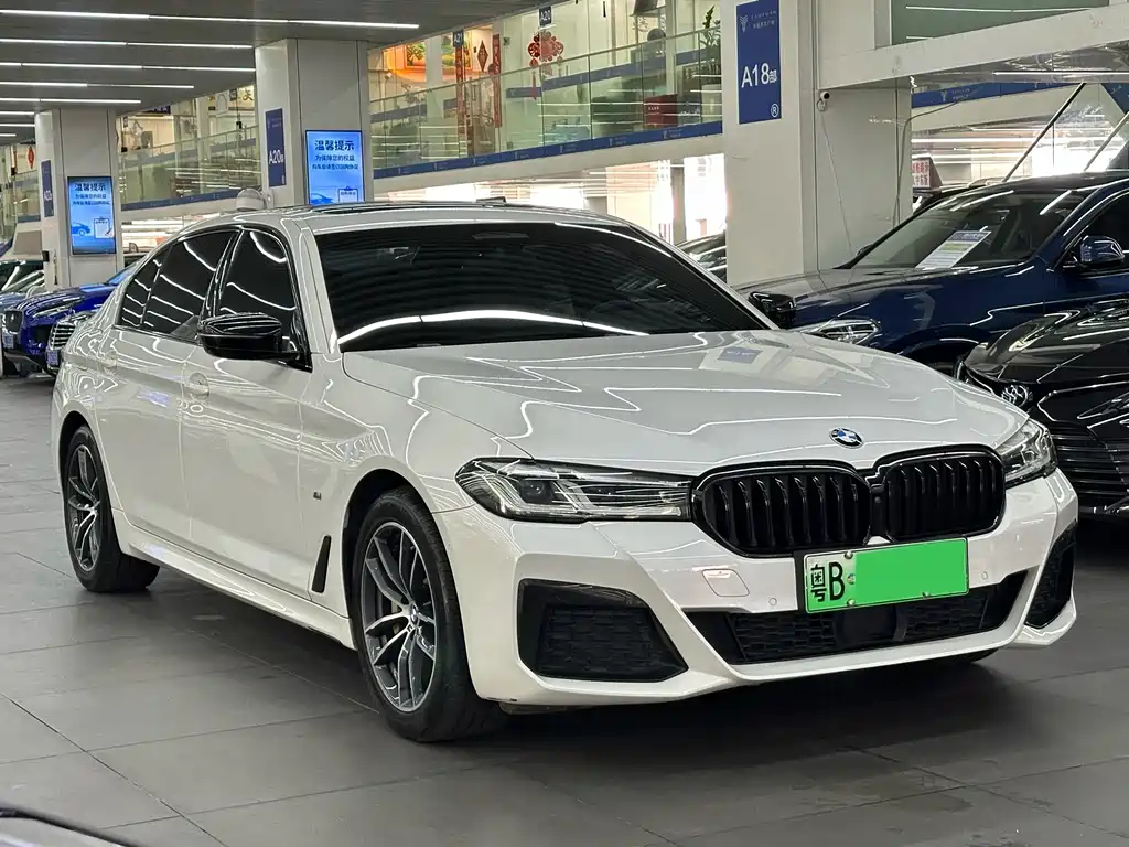 BMW 5 Series New Energy — миниатюра 3