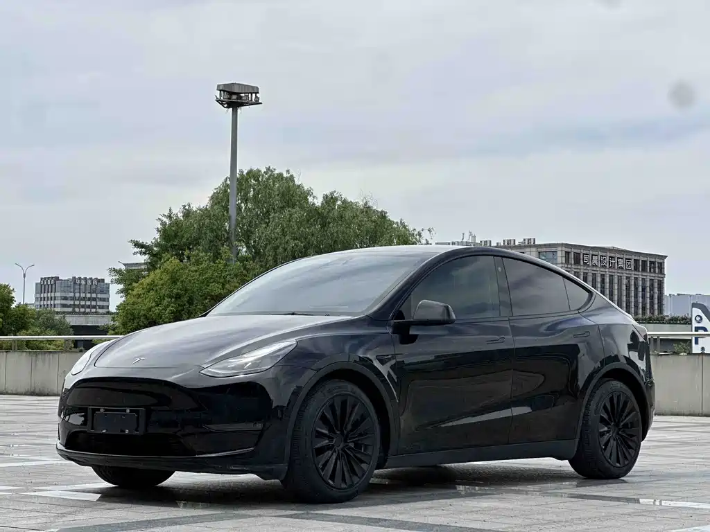Tesla Model Y 2021 Standard Range RWD Edition