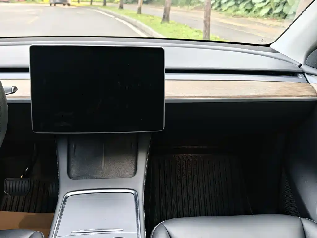 Tesla Model Y — миниатюра 16